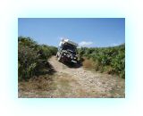 SardKors2010- (108)-web1.jpg